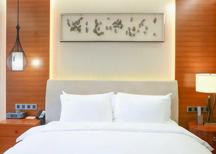 Holiday Inn Nanjing Xuanwu Lake By Ihg