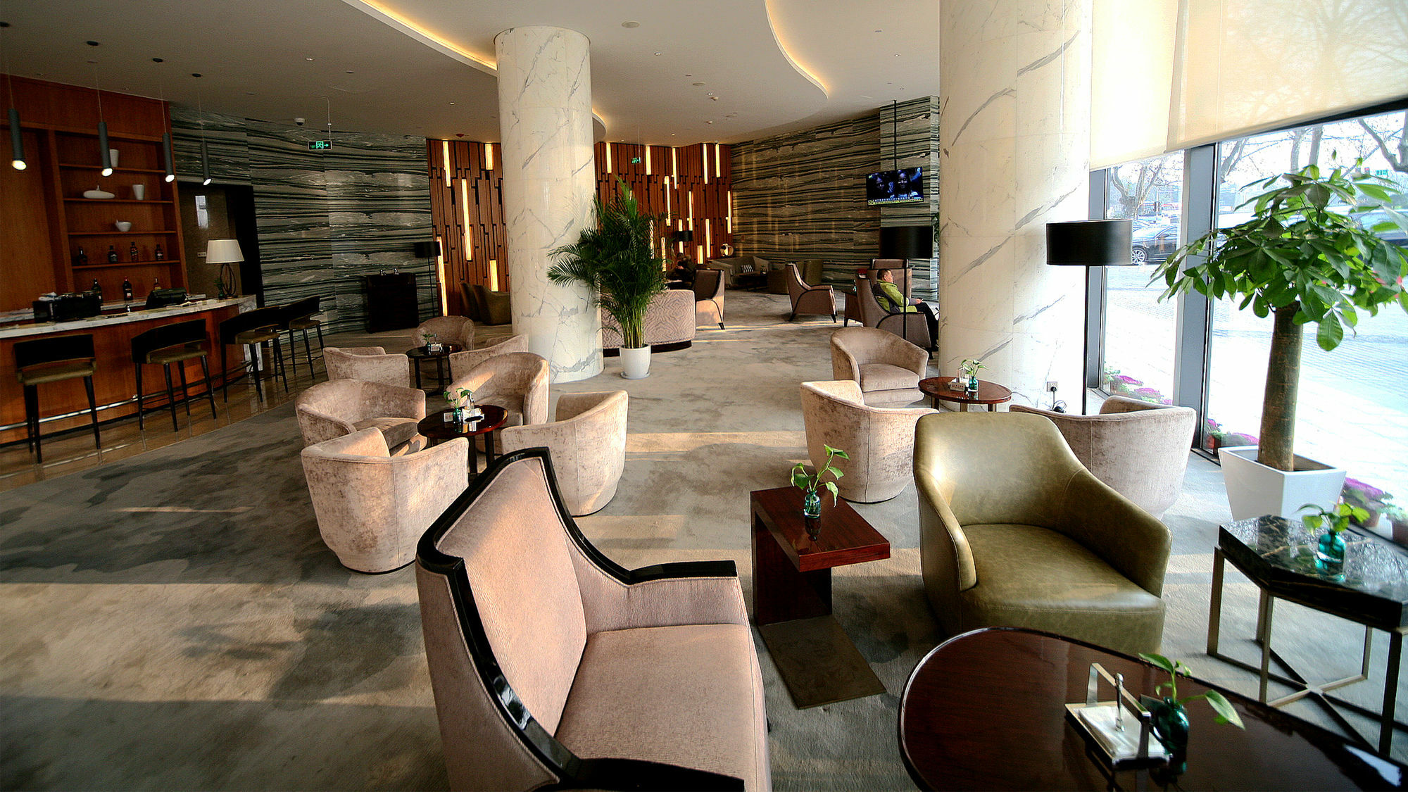 Nanjing Xuanwu By Ihg